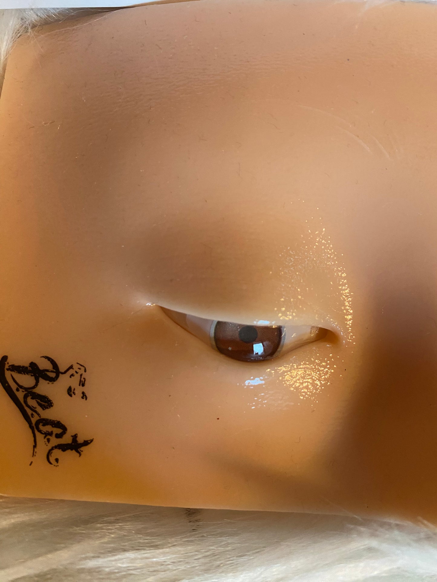 Practice Eye Model