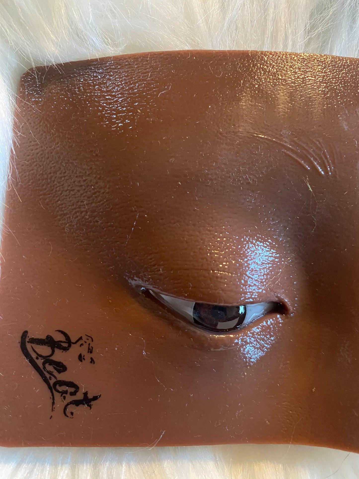 Practice Eye Model